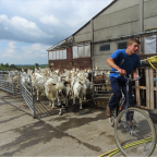 Classe verte à la Chèvrerie: expertise-conseil pour une ferme laitière